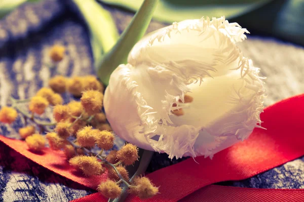 Fresh spring tulip and mimosa close up with orange ribbon on old — Stock Photo, Image