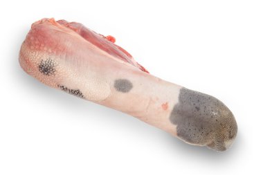 Beyaz zemin üzerine gölge izole taze çiğ sığır dil