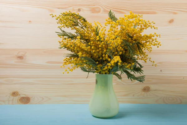 Mimosa fresca primaverile in vaso da vicino — Foto Stock