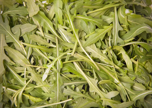 Friss zöld sült saláta kitûnõ a zöld természetes háttér. Tónusú — Stock Fotó