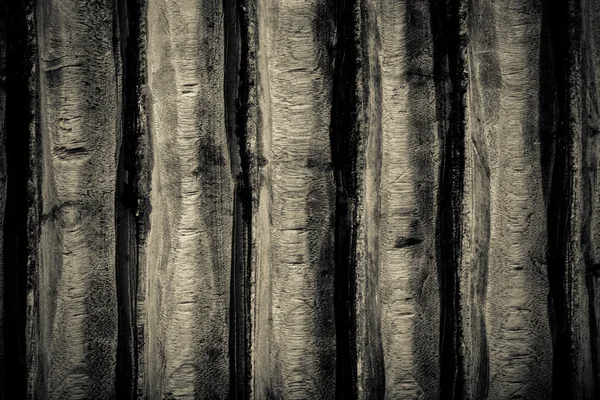 Antiga superfície de madeira para fundo texturizado. Tonificado — Fotografia de Stock