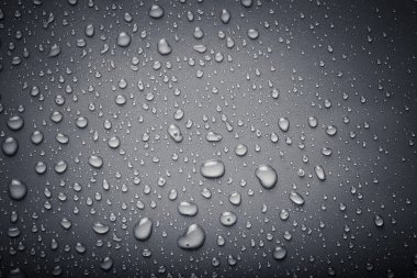 Su renk arka plan üzerinde Dops. Gri. Tonda