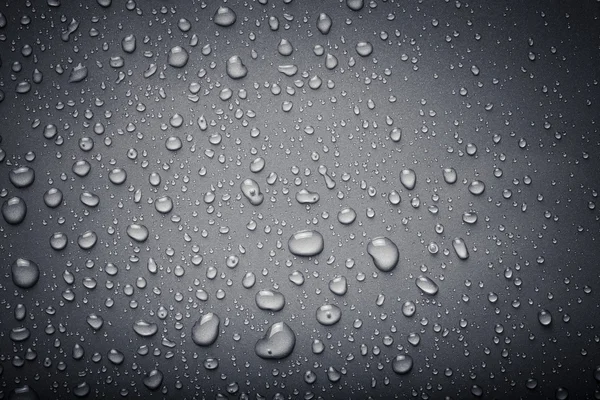 Su renk arka plan üzerinde Dops. Gri. Tonda