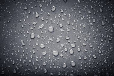 Su renk arka plan üzerinde Dops. Gri. Tonda