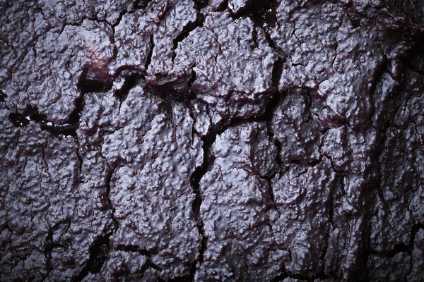 The surface of fresh chocolate biscuit for background. Toned — Stock Photo, Image