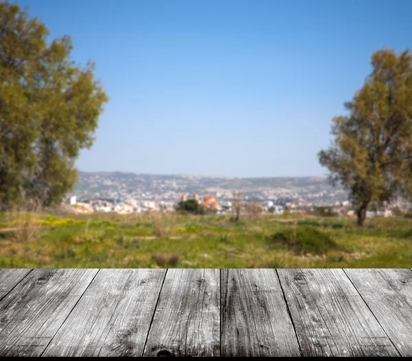 Belle vue sur la prairie verte au-dessus de la vieille table en bois clair o — Photo