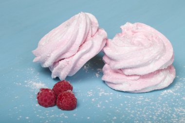 Taze pembe ev yapımı zephyr - hatmi mavi ahşap tablo