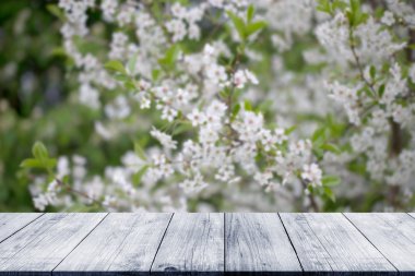 Eski ahşap masa lambası veya Pano üzerinden kiraz Şubesi çiçeklenme.