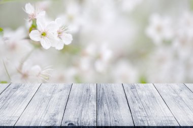 Eski ahşap masa lambası veya Pano üzerinden kiraz Şubesi çiçeklenme.