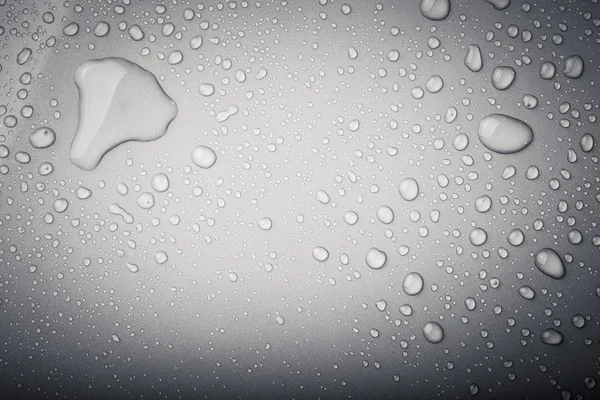 bir renk arka plan üzerinde Su damlacıkları. gri. sığ derinliği bes