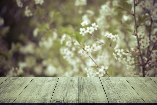 Ramo florido de cereja sobre mesa ou placa de madeira leve velha . — Fotografia de Stock