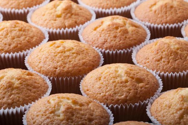 Frische Cupcake-Wüste vor der Dekoration. Selektiver Fokus. flach — Stockfoto