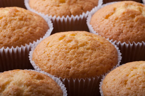 Frische Cupcake-Wüste vor der Dekoration. Selektiver Fokus. flach — Stockfoto