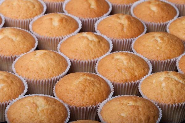 Fresh cupcake desert before decoration. Selective focus. Shallow — Stock Photo, Image