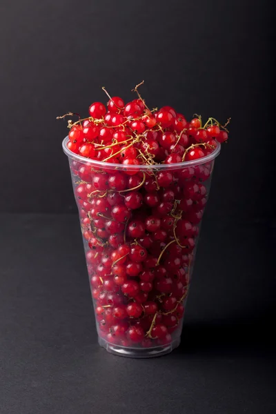 Смородинові ягоди в пластиковому склі на чорному тлі — стокове фото