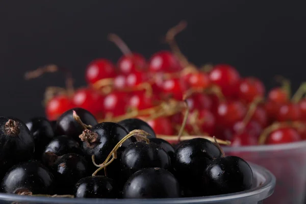 Currant berries in a plastic glass on black background. Selectiv — Stock Photo, Image