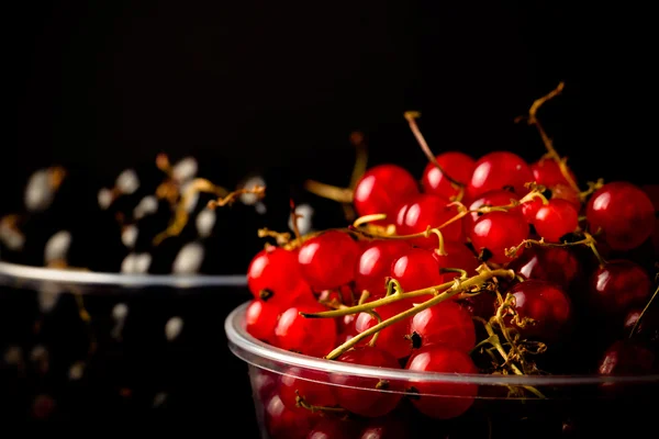 Currant berries in a plastic glass on black background. Selectiv — Stock Photo, Image