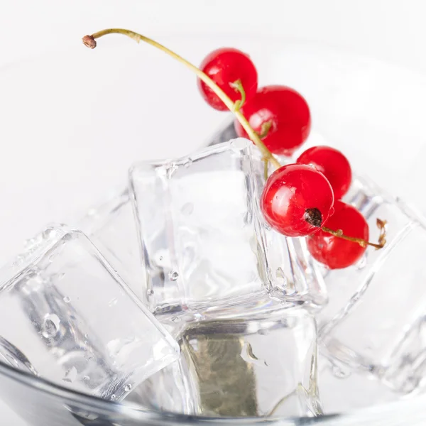 Rote Johannisbeeren in einem Martini-Glas auf weißem Hintergrund — Stockfoto