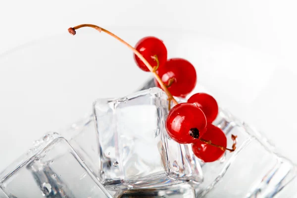 Bacche di ribes rosso in un bicchiere da martini su sfondo bianco. Tono — Foto Stock