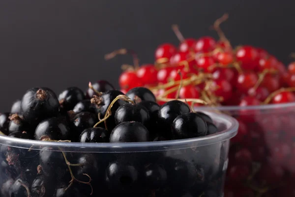 Currant berries in a plastic glass on black background. Selectiv — Stock Photo, Image