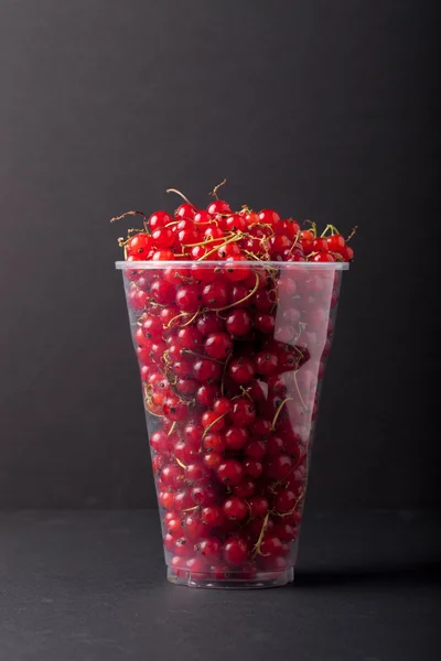 Johannisbeeren in einem Plastikglas auf schwarzem Hintergrund — Stockfoto