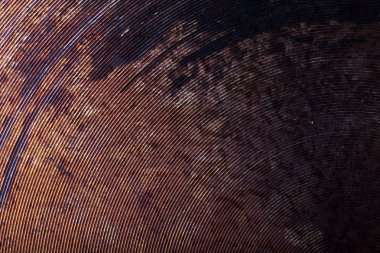 Arka plan için eski kirli metal fırın formun altı