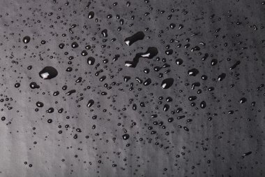 Bir renk arka plan üzerinde Su damlacıkları. Siyah. Fi sığ derinliği