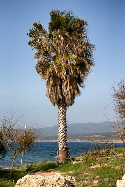 Bellissimo paesaggio marino su una Cipro — Foto Stock
