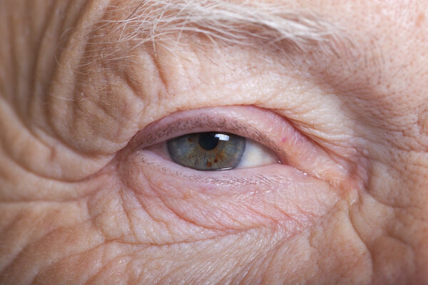 Portrait of an elderly woman. Closeup view