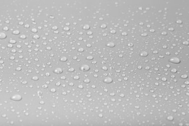 bir renk arka plan üzerinde Su damlacıkları. gri. sığ derinliği bes