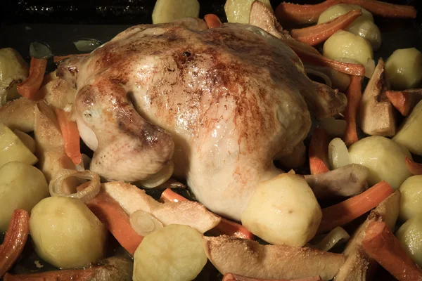 Chiken with potato and other vegetables on pan. Selective focus. — Stock Photo, Image