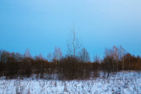 Krásná zimní krajina v ruské provincii. Tónovaný — Stock fotografie