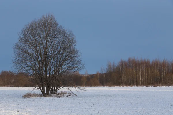Wunderschöne Winterlandschaft in der russischen Provinz — Stockfoto