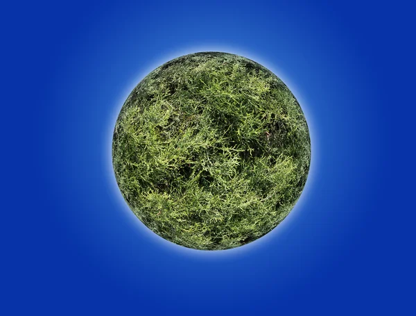Планета с текстурой естественной травы. Коллаж — стоковое фото