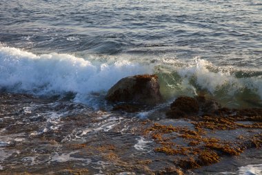 Dalga kayalık bir plajda köpük içine aktarılır. Seçici odak