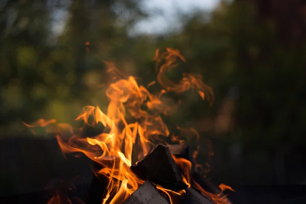 Bright flame of bonfire. Defocused — Stock Photo, Image