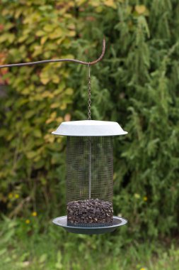 Bahçede kuş evi. Seçici odak. Fi sığ derinliği