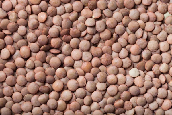 Orange lentil seeds as texture for background — Stock Photo, Image