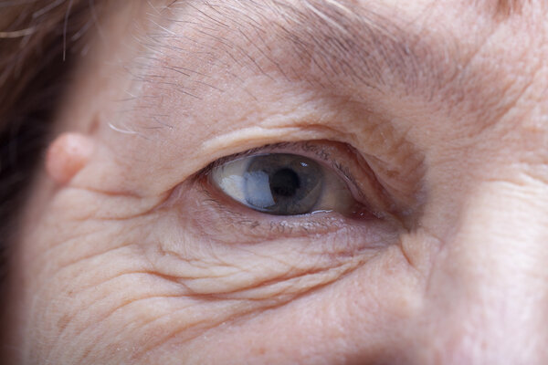 Portrait of elderly woman. Closeup