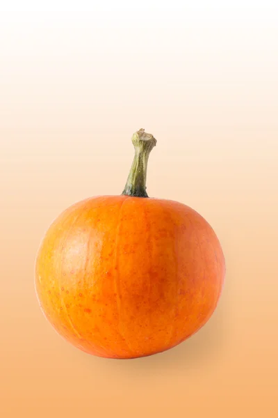 Zucca arancio fresco isolato su sfondo bianco — Foto Stock