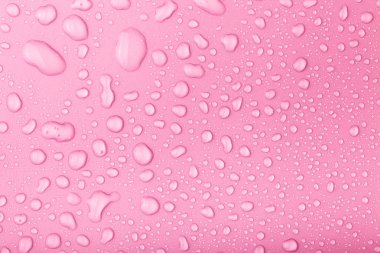 Bir renk arka plan üzerinde Su damlacıkları. Pembe. Tonda