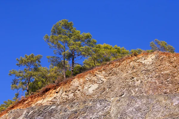 Einsamer Baum, der oben auf dem Hügel wächst. Truthahn — Stockfoto