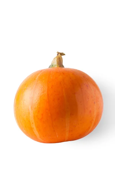 Calabaza naranja fresca aislada sobre fondo blanco — Foto de Stock