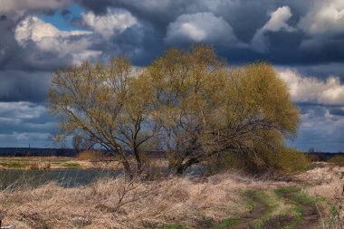 Rus kırsalının sonbahar manzarası.