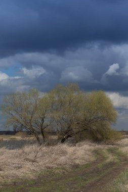 Rus kırsalının sonbahar manzarası.