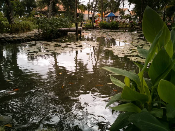 Lotus Lagoa Hotel Resort Vietnã — Fotografia de Stock