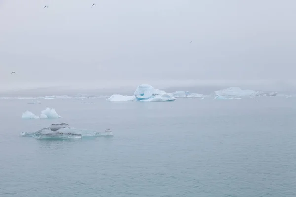 Ledová Laguna Jokulsarlonem Jihu Islandu — Stock fotografie