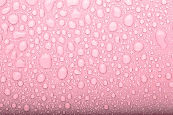Gotas Agua Sobre Fondo Color Enfoque Selectivo Rosa Tonificado Imagen de stock