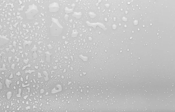 Краплі Води Кольоровому Фоні Вибіркове Фокусування Сірий — стокове фото