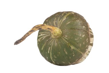 Sadece beyaz bir arka plan üzerinde izole bahçesinden çekilmiş yeşil kabak